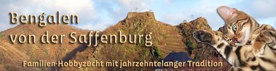 saffenburgbanner